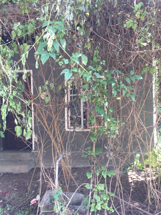 Продава се Къща в с. Побит камък, Област Разград - 100 кв.м за 128 €/кв.м - Снимка #5