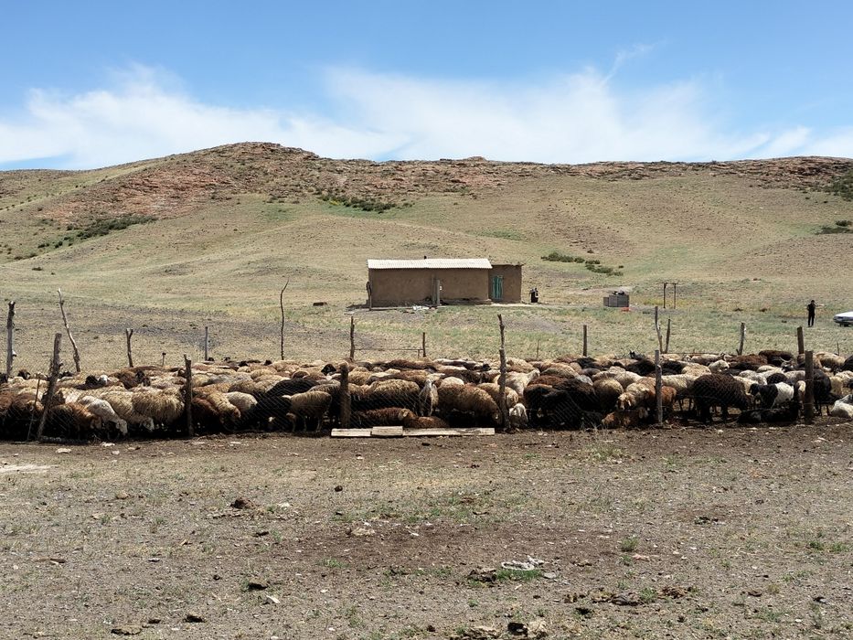 Қашар 800г жері сатылады