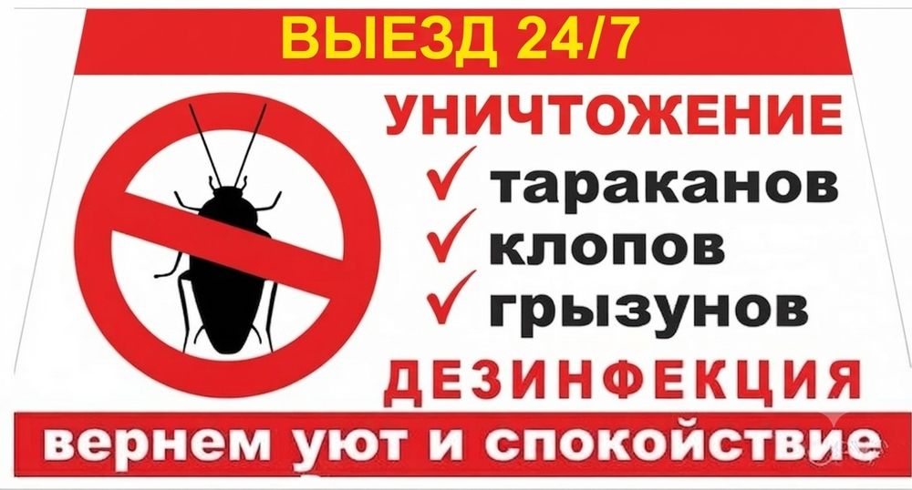 Дезинфекция,  дезинсекция