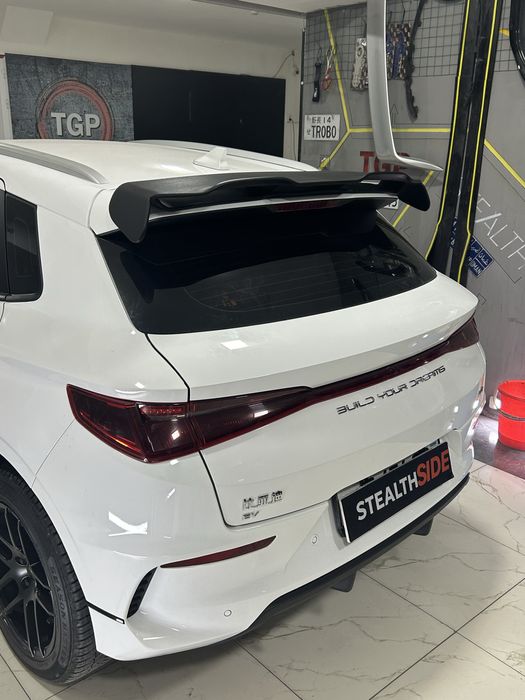 BYD e2 Spoiler Спойлер. Антикрыло Хвост Individual