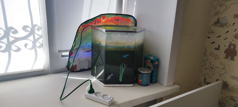 Аквариум с двумя рыбками