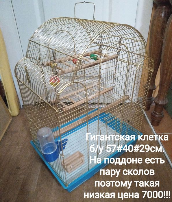 Супер клетки . От 1500 и выше