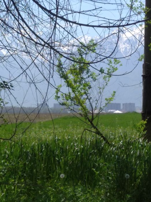 Срочно продам участок.