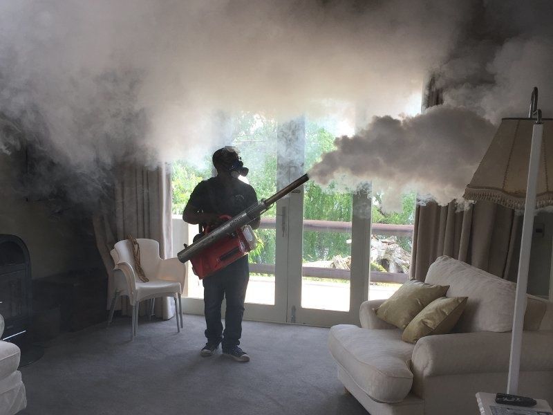 Дезинфекция | Уничтожение клопов и тараканов |