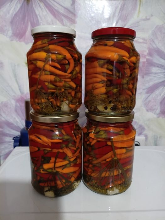 Продам маринованный перец Чили