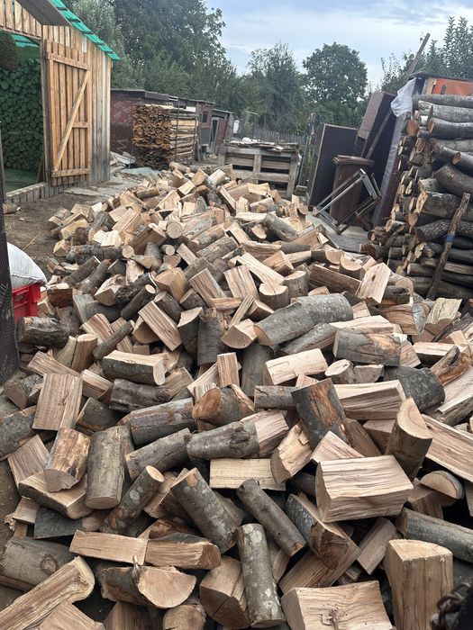 Vand lemn de Foc : Fag , Brad