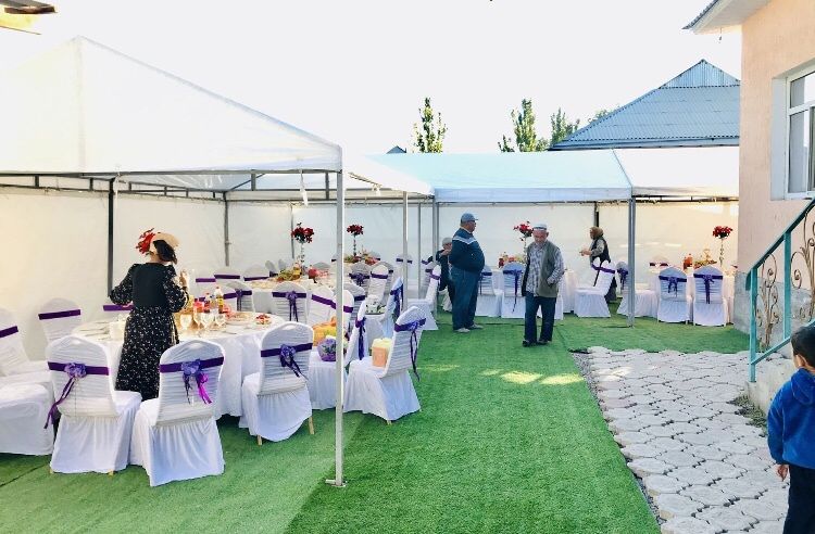 Газон в аренду!