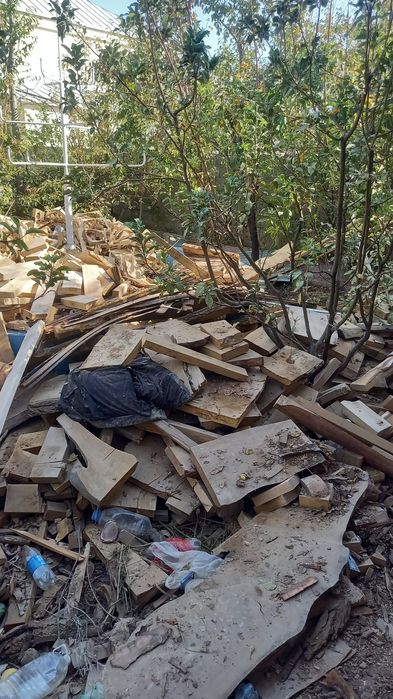 Отын агаш. Кара агаш