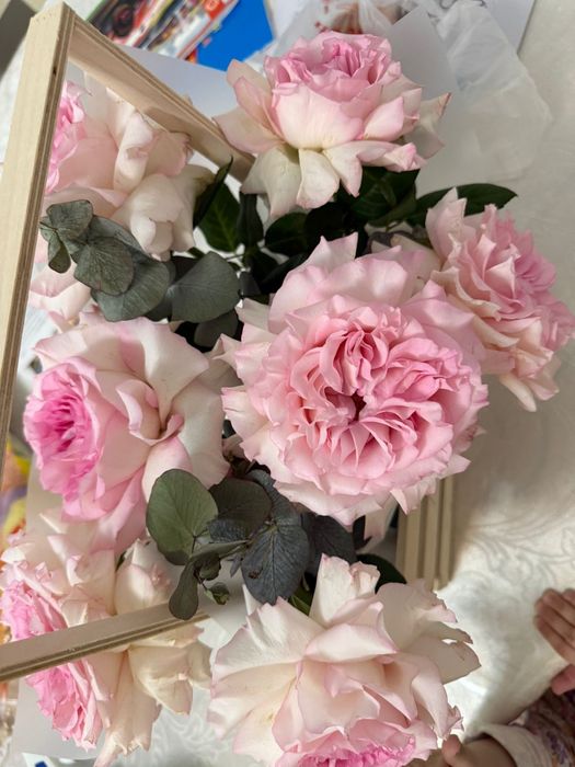 Цветы в хорошем состоянии