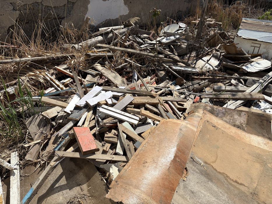 Агаш борене тегин