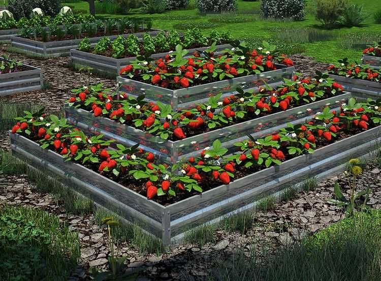 Цветарници Primaterra