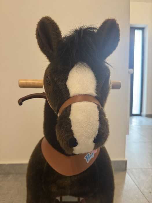 Ponei  cu roti, PonyCycle