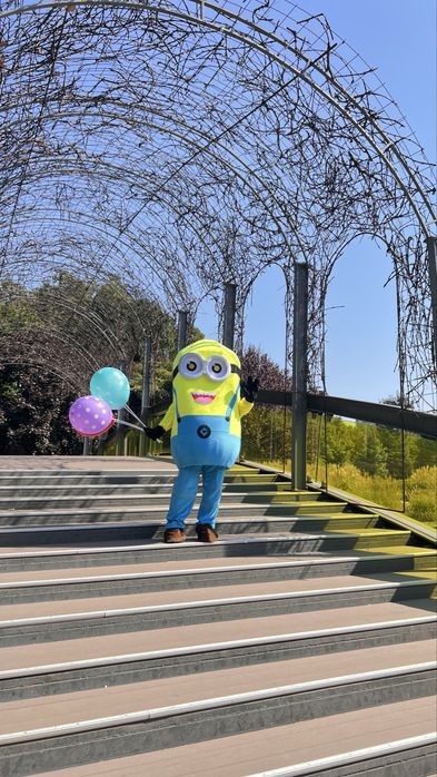 Inchiriem Macote: Minion • Pikachu • Clovn • PawPatrol