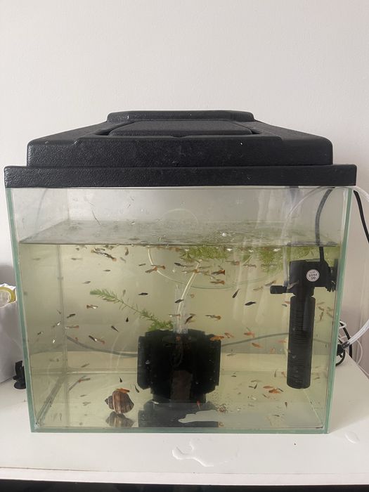 Аквариум 150 и 40 литр