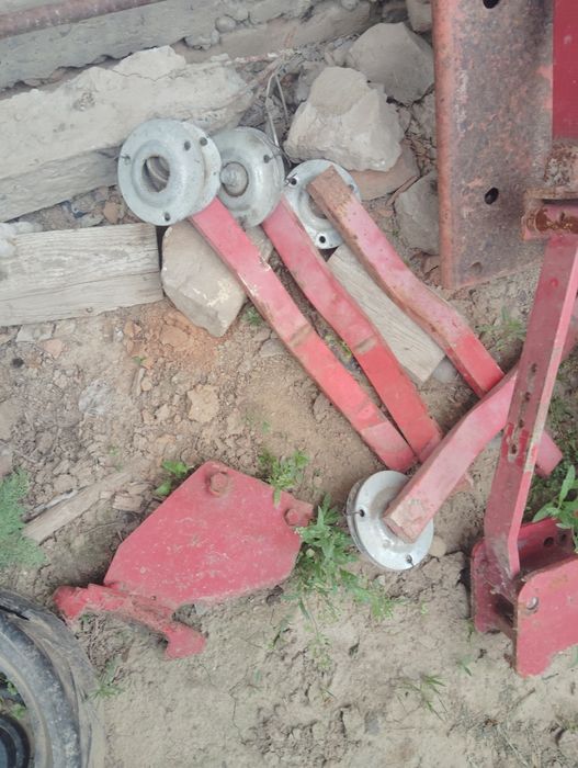 Даичи селка туркиа