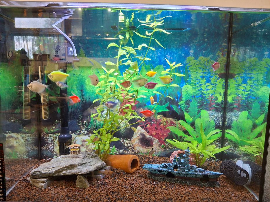 Три аквариума комплект с рибки