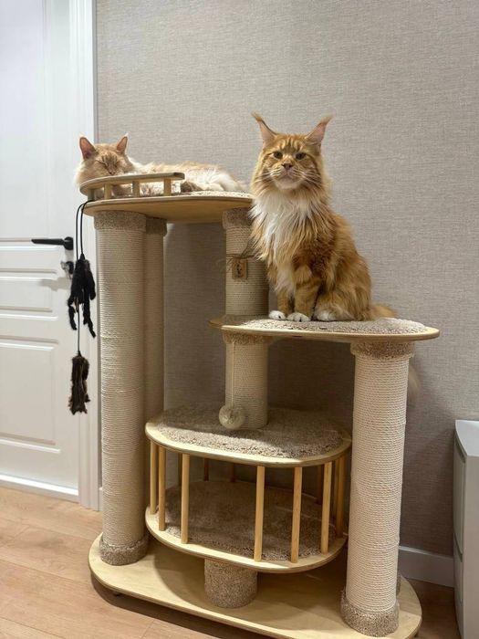 Когтеточка для кошки. Домик для кошки.