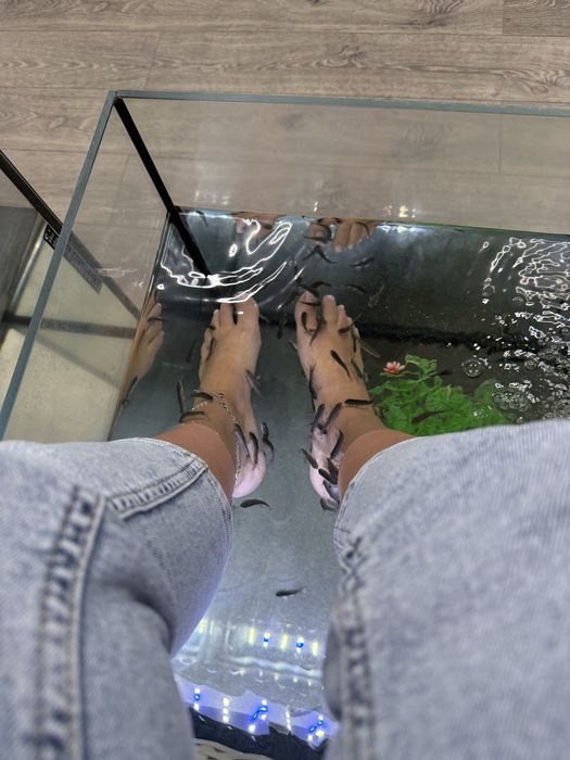 Terapie de relaxare Fish Spa