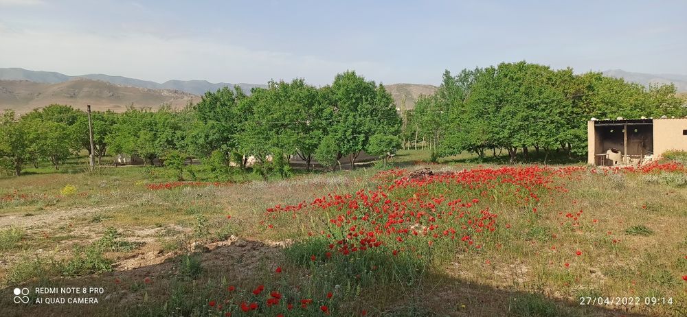 Uy sotiladi uy variantga ham sotiladi