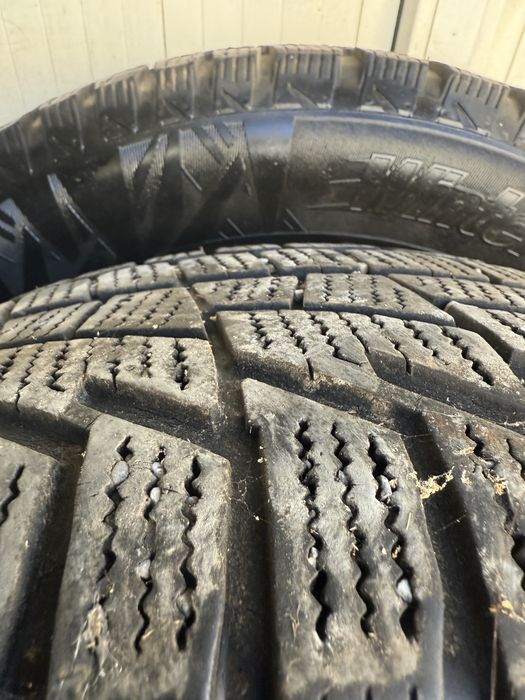 Резина зимние кардианд