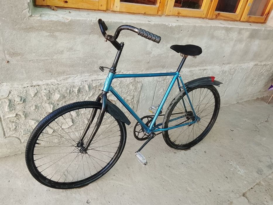 Arliyonik,  razmeri 24