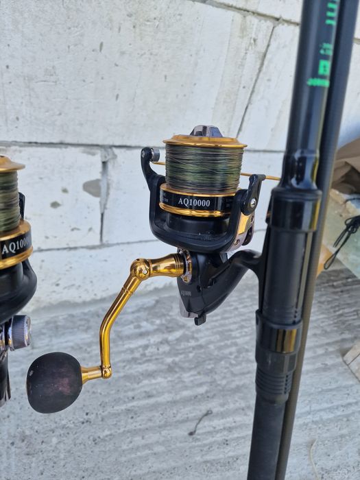 Lansete pescuit crap