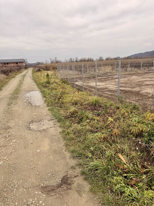 Teren Intravilan Dej (viile dejului ) 24000€ 600 mp