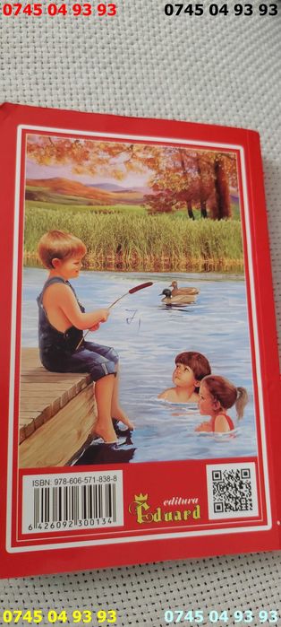 carte carti povestiri amintiri ion creanga