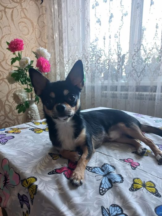 Предлагаем к вязки кабеля