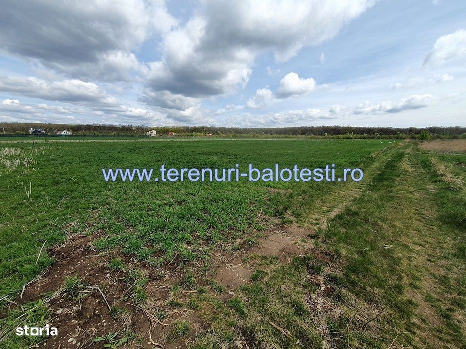 Teren langa padure si aproape utilitati,800 mp,36000 euro