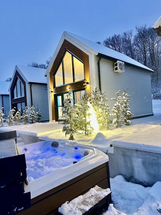 Cazare inchiriere Baile Felix A Frame /Tiny house /pensiune/cabana