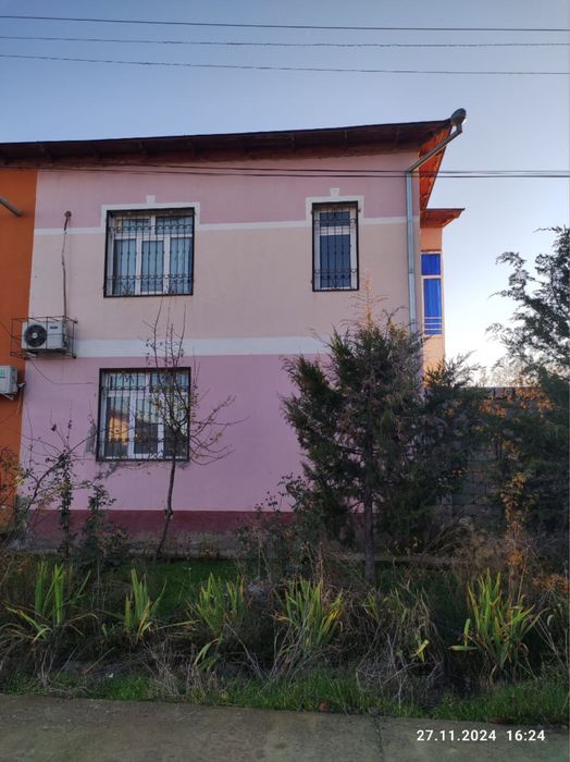 Kotej sotiladi 60000$