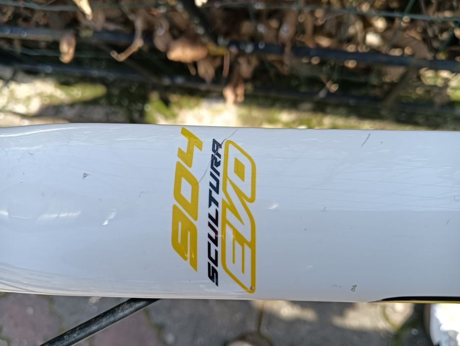 Cursieră Merida Scultura EVO 904