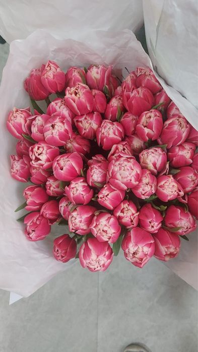 Тюльпаны с доставкой