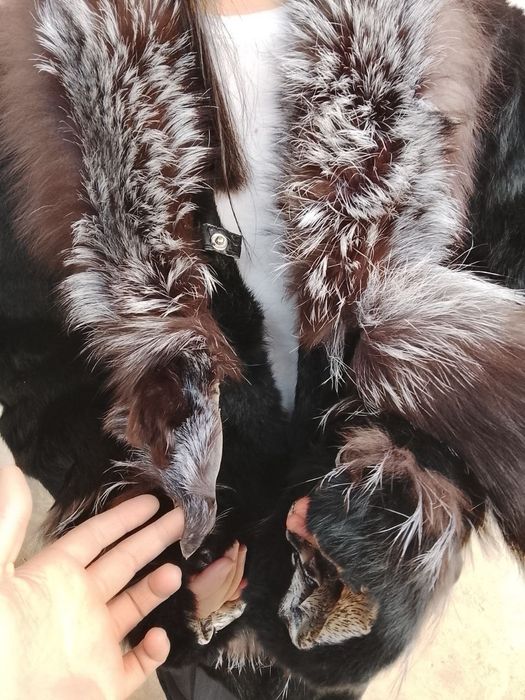 Naturalniy Norka Holati Zôr Tulkiniki