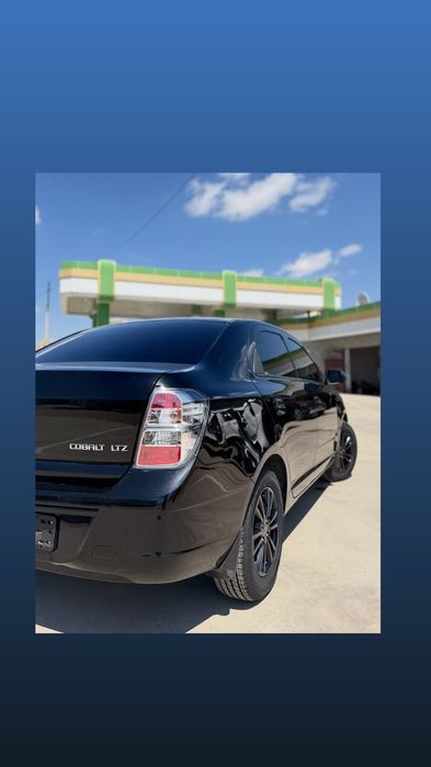 Cobalt midnigt qora 2025