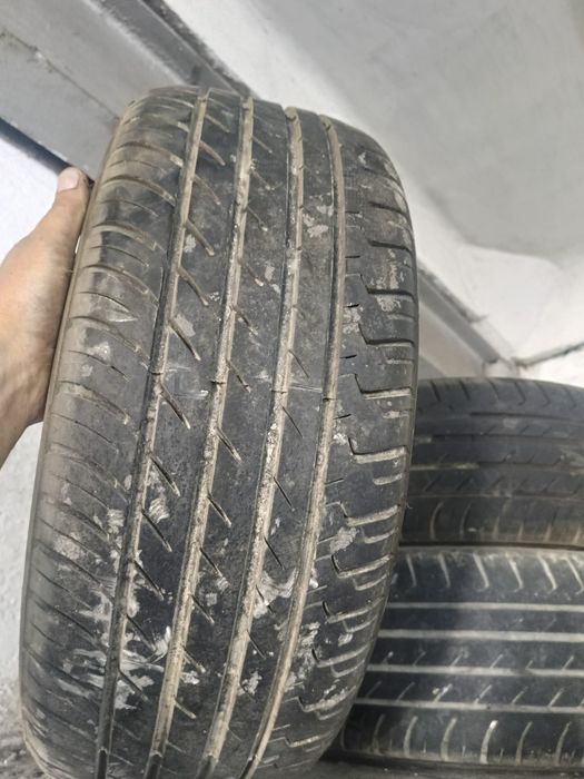 Резина Triangle Sport