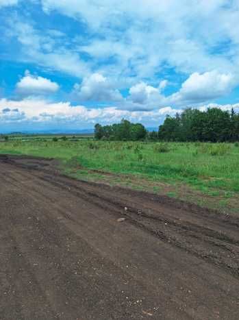 Продава се Парцел в Банкя - 3000 кв.м за 100 €/кв.м - Снимка #3