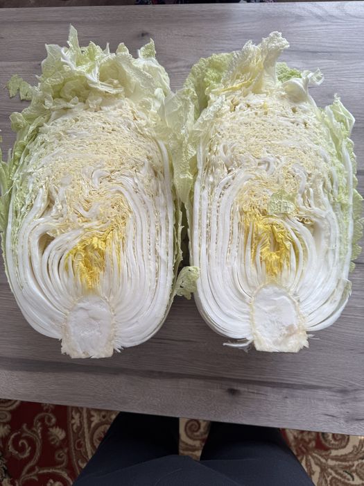 Chimchi bonka 3gektar