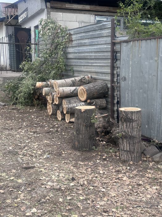 Продам дрова свежопилинные