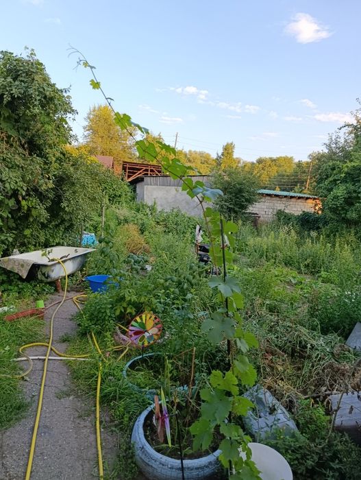 Продам дом мирный