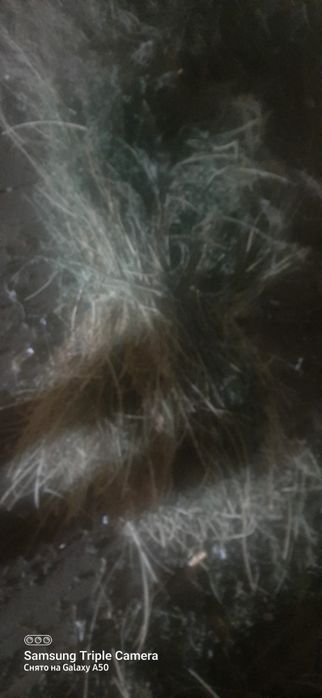 Сотилади  (беда)