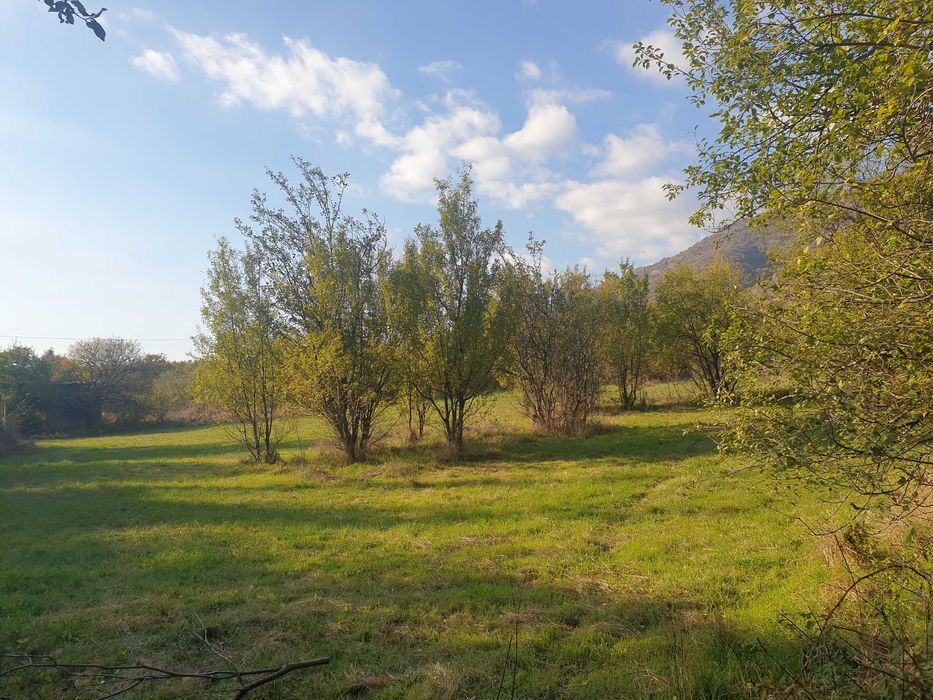 Продава се Парцел в Карлово - 1804 кв.м за 30 €/кв.м - Снимка #2