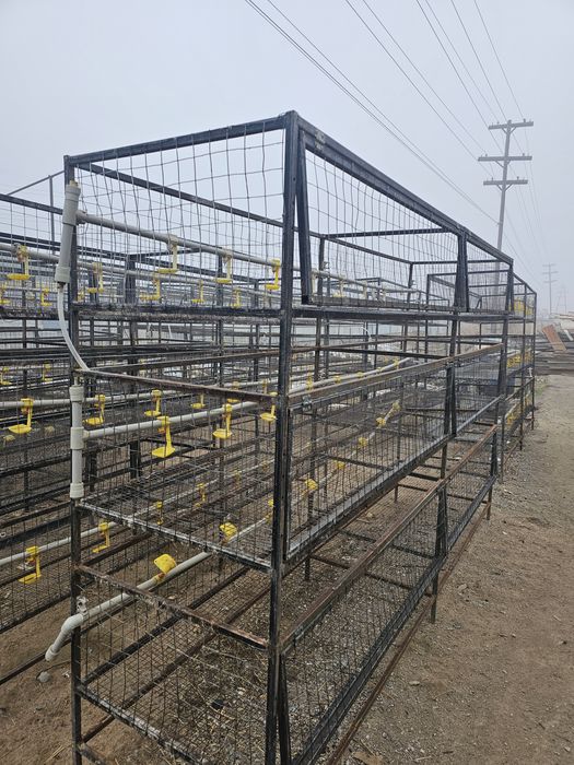 Продам клетки для содержания курей