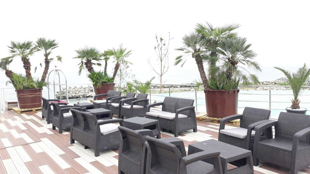 Inchirieri plante decorative