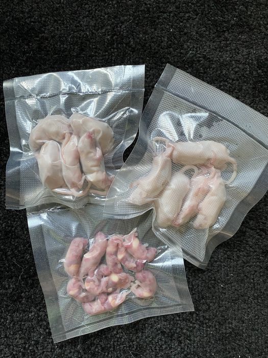 Кормовые мышки (корм)