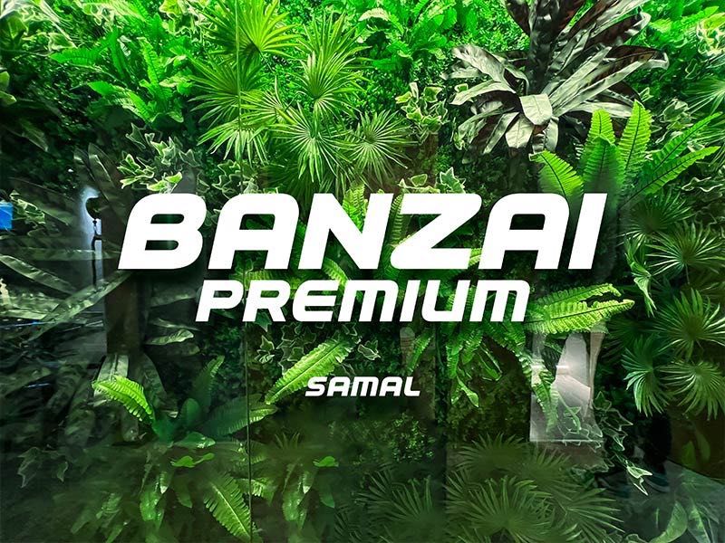 абонемент Banzai premium Samal на 3 месяца