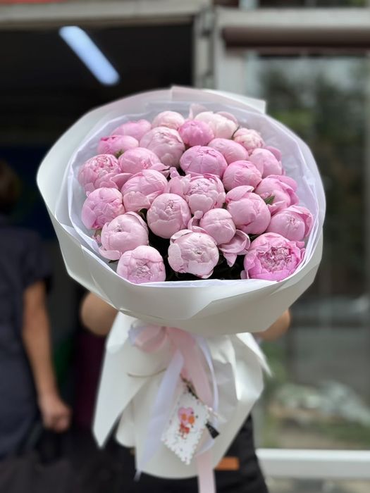 Голландские Пионы оптом и в розницу