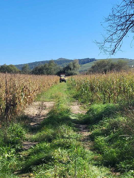 vanzare  teren  pe malul  Somesului  Mic