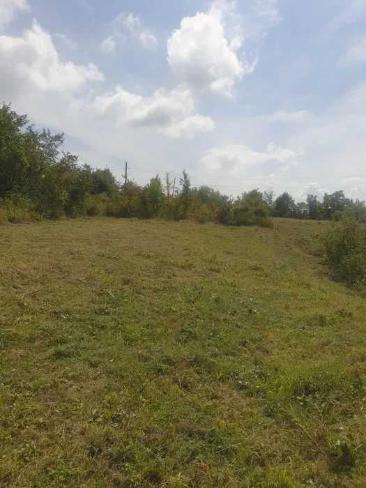 Vând teren intravilan la Seciu